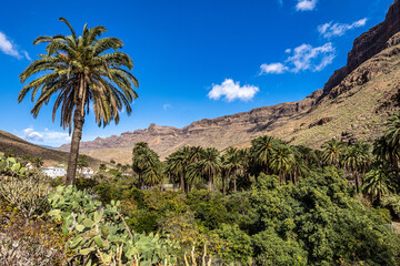 Rocky landscape of the Palm valley at Arteara in Gran Canaria island, Spain.