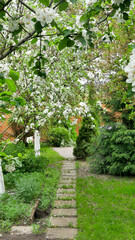 views of the garden in spring
