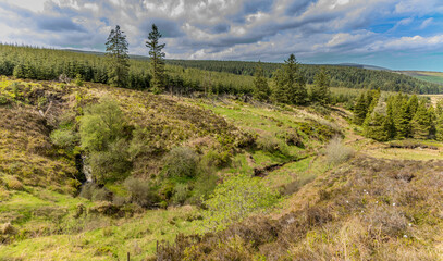 Moyle Way hiking trail, Glenshesk, Ballycastle. Glens of Antrim, County Antrim, Area of outstanding...
