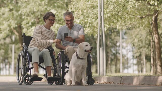 Happy wheelchair couple looking at photos on smartphone while spending time outdoors in park with their cute playful light yellow Labrador