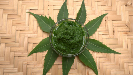 Neem leaves or Azadirachta Indica used as ayurvedic medicine with ground neem paste and juice Used...