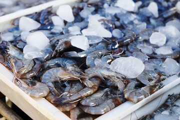 Fresh frozen shrimps sold in seafood market at Thailand