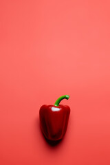 Top view of fresh paprika on red background.