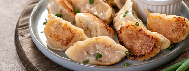 Pan-fried gyoza dumpling jiaozi in a plate with soy sauce on gray table background.