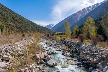 Beautiful mountain river with strong current, foam and water splashes. Beautiful mountain river with spruces forest growing around. 