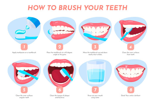 Illustration of how to brush your teeth. Step-by-step dental care instructions. Vector illustration