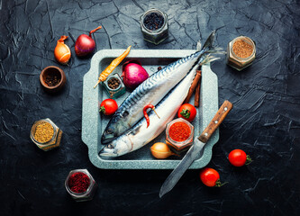 Fresh, raw mackerel fish