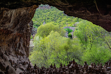 View from the cave. In a cave. Green trees and nature