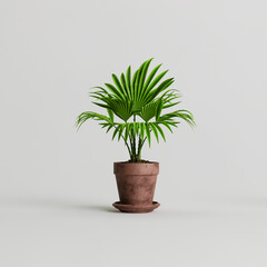 3d illustration of terracotta houseplants isolated on white background