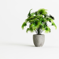 3d illustration of concrete houseplants isolated on white background