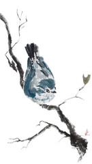Small blue bird sitting on a tree branch, painted with ink on xuan (rice) paper, oriental style. Texture of paper and brush strokes - intact. Background`s been removed.