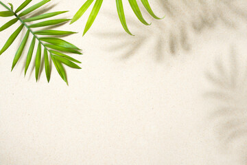Sandy beach background top view with tropical leaves and shadows