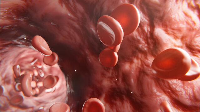 Blood cells on the way - 3D rendering
