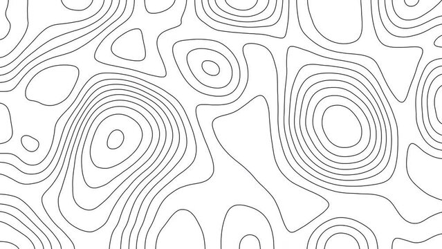 Abstract animated outline topographic map. Moving waves on white background. 4K looped animation. 4K looped animation.