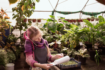 Naklejka na ściany i meble Young woman with pink hair holding tablet for writing and using smart phone for calling to clients in greenhouse of garden mall