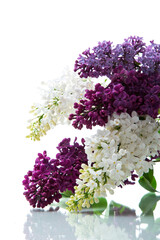 Bouquet of beautiful spring lilacs of different colors