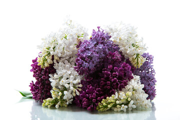 Bouquet of beautiful spring lilacs of different colors