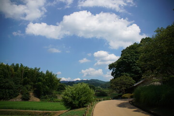 Fototapeta na wymiar 奈良の明日香の夏景色
