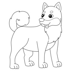 Shiba Inu Dog Coloring Page Isolated for Kids