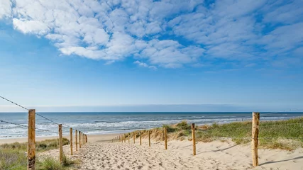 Photo sur Plexiglas Mer du Nord, Pays-Bas Un chemin avec de nombreuses pistes, délimité par des poteaux en bois sur la dune de sable avec de l& 39 herbe sauvage et de la plage à Noordwijk sur la mer du Nord en Hollande Pays-Bas - Paysage marin panoramique avec ciel bleu et nuages