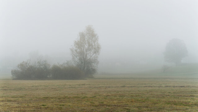 Nebelmoor