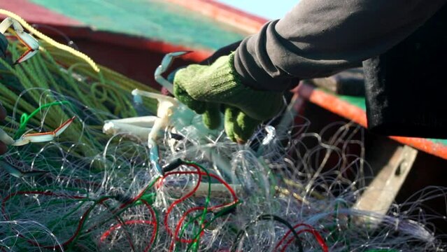 Close up fisherman hand catching crab from the sea