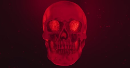 Skull with colored lighting loop closeup with particles