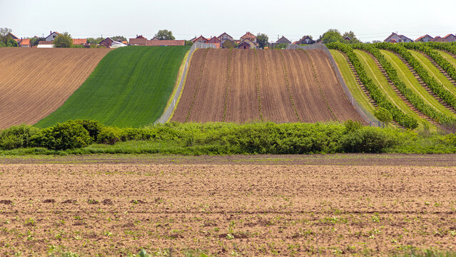 Crops Fields Hill