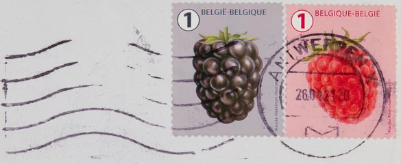 Papier Peint photo autocollant Anvers briefmarke stamp vintage retro alt old früchte beeren berry fruit belgien belgie belgique brombeere himbeere rasberry blackberry antwerpen welle wave stempel gestempelt