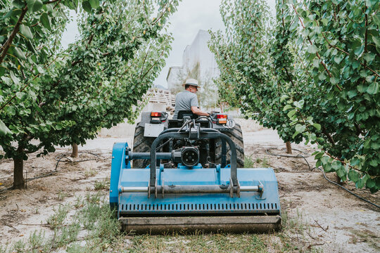 Anonymous male farmer removing grass with tractor