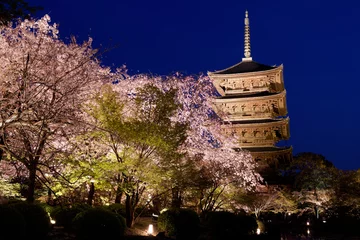 Schilderijen op glas 京都東寺の五重塔ライトアップ © Hitoshi