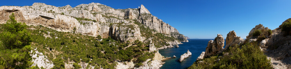 Fototapeta na wymiar Calanque de Sugiton panorama France