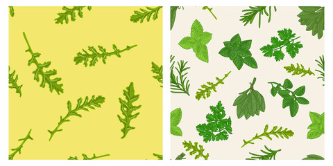 Herbs seamless pattern Arugula on a yellow background