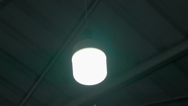 Moths flying around the light bulb after the rain