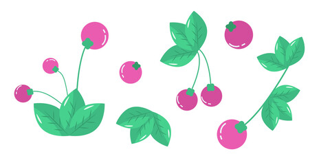 Fresh berries set. Wild berries. Cartoon berries. 