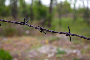Barbed wire fence in the garden.