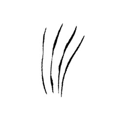 animal scratche concept