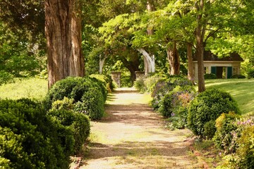 Pathway, Archway, Gazebo, Plants, Trees. Beautiful Landscape