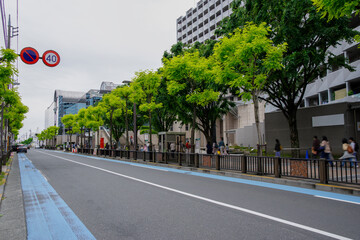 東京都小平市の街並