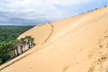 Dune du pilat, Bordeaux France