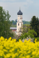 Small City Attenweiler near Biberach in Baden-Württemberg in spring with rapeseed field and spring blossom