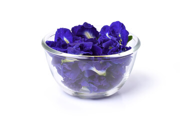 blue flowers in a bowl