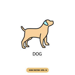dog icons  symbol vector elements for infographic web
