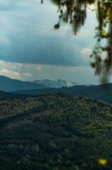 lake tahoe state