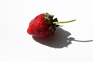 Strawberries on a sunny day. Large ripe berries. - 504943893