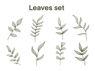 Leaf line art set.