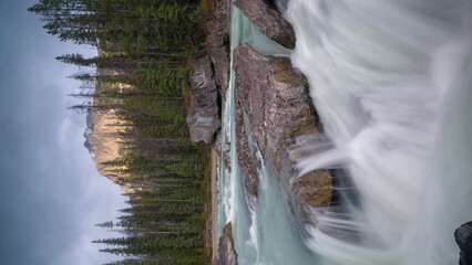 Vertical 4k Time Lapse, Mountain Creek Rapids and Cascade by Evergreen Forest in Pristine Landscape of Yoho National Park, Canada - Powered by Adobe