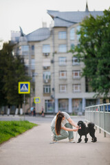 Obraz premium girl overweight with long brown hair walks with dog along sidewalk city street, young woman and pet black poodle