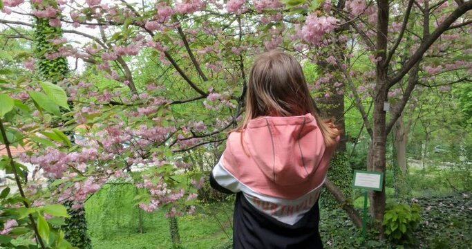 Young girl taking a photo with a camera of a blooming cherry tree in a garden on a spring day.	
4K video footage.