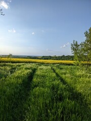 field and blue sky